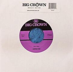 Грамофонна плоча Surprise Chef - Bully Ball (7")