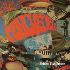 Vinyl Record Schizo Fun Addict - Elevation Versus Sabotage (LP)