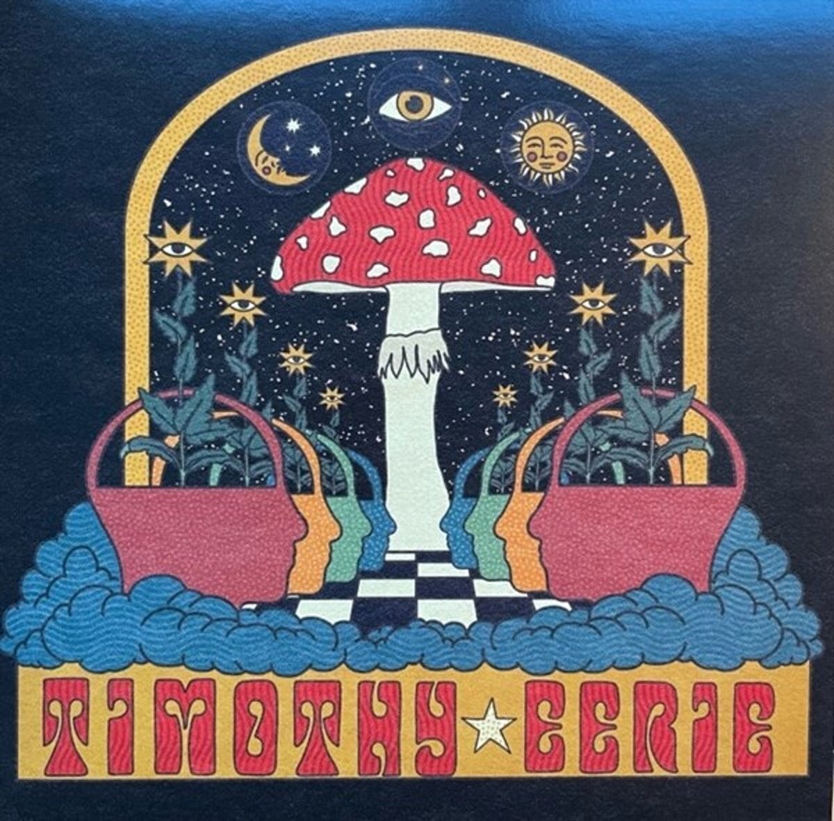 Vinyl Record Timothy Eerie - I Fear The Void Is Waiting For Me / Acid Lake (LP)