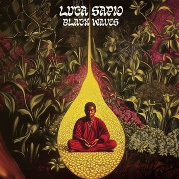 Vinylplate Luca Sapio - Black Waves (2 LP) - 1