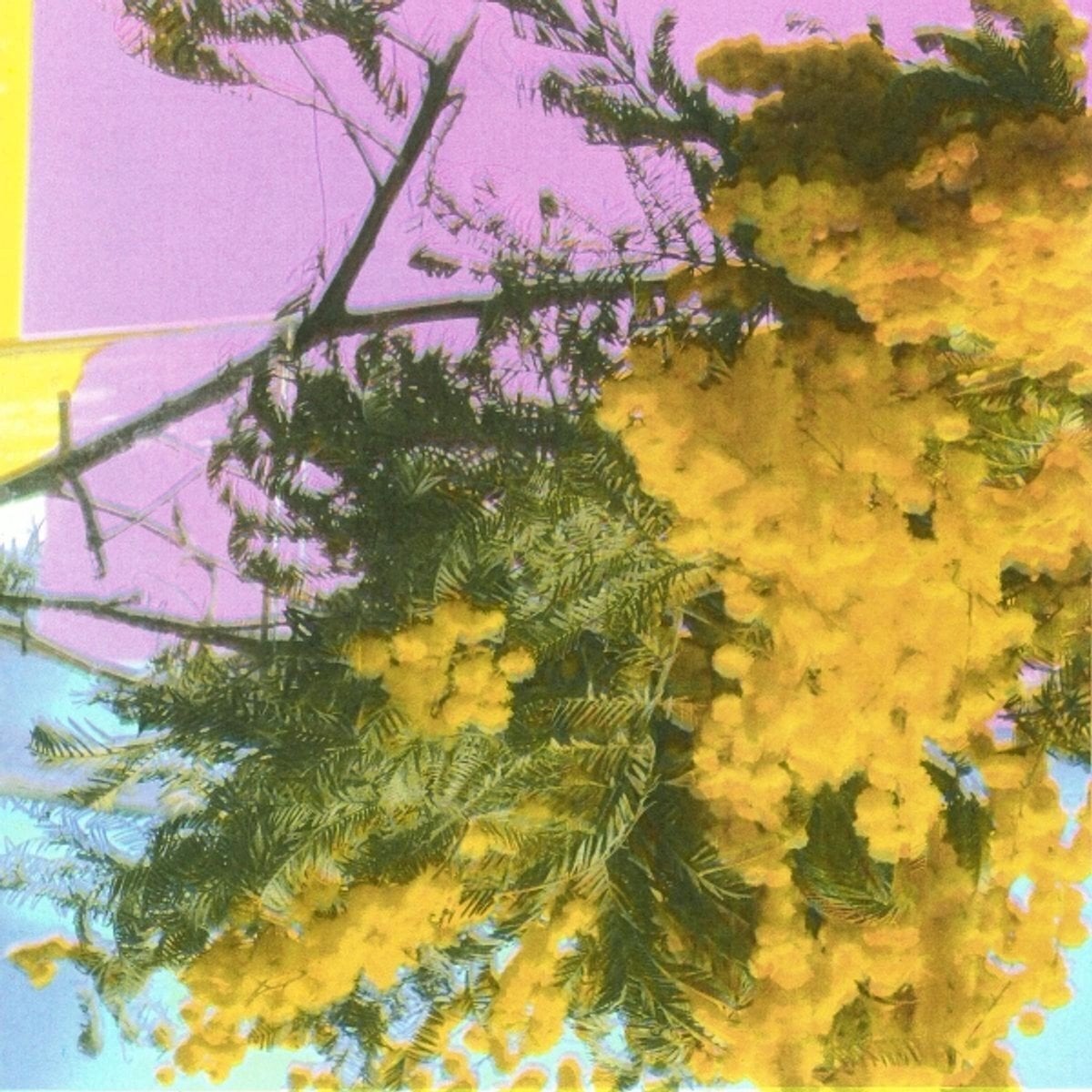 Schallplatte Four Tet - Into Dust (Still Falling) (LP)