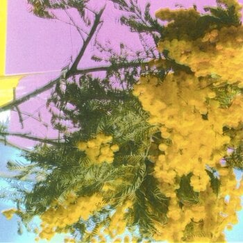 Schallplatte Four Tet - Into Dust (Still Falling) (LP) - 1