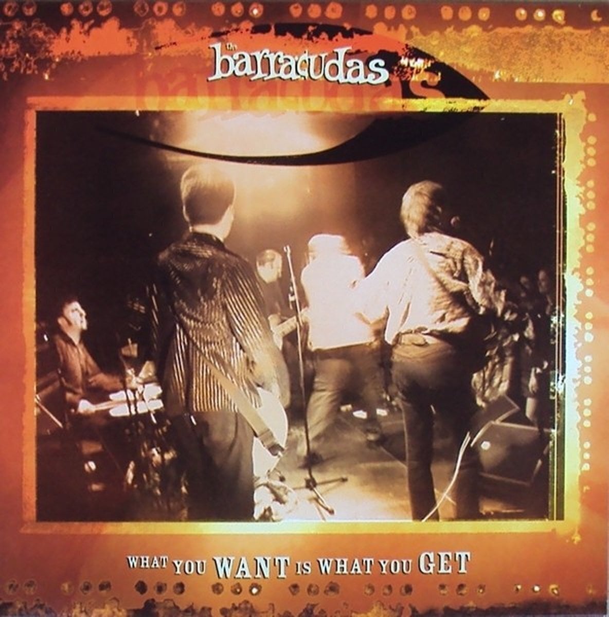 Vinylskiva Barracudas - What You Want Is What You Get (7")