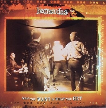 Vinylskiva Barracudas - What You Want Is What You Get (7") - 1
