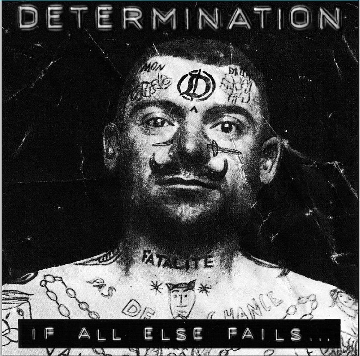 Vinyl Record Determination - If All Else Fails ... (LP)