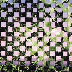 Vinylplate High Places & Soft Circle - Split (LP)