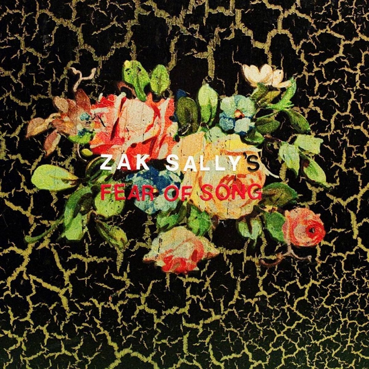 Vinylplate Zak Sally's Fear Of Song - Why We Hide (LP)