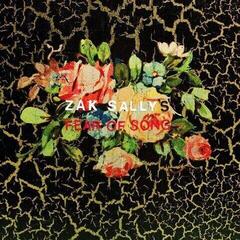 Vinylplate Zak Sally's Fear Of Song - Why We Hide (LP)