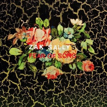 Vinylplate Zak Sally's Fear Of Song - Why We Hide (LP) - 1