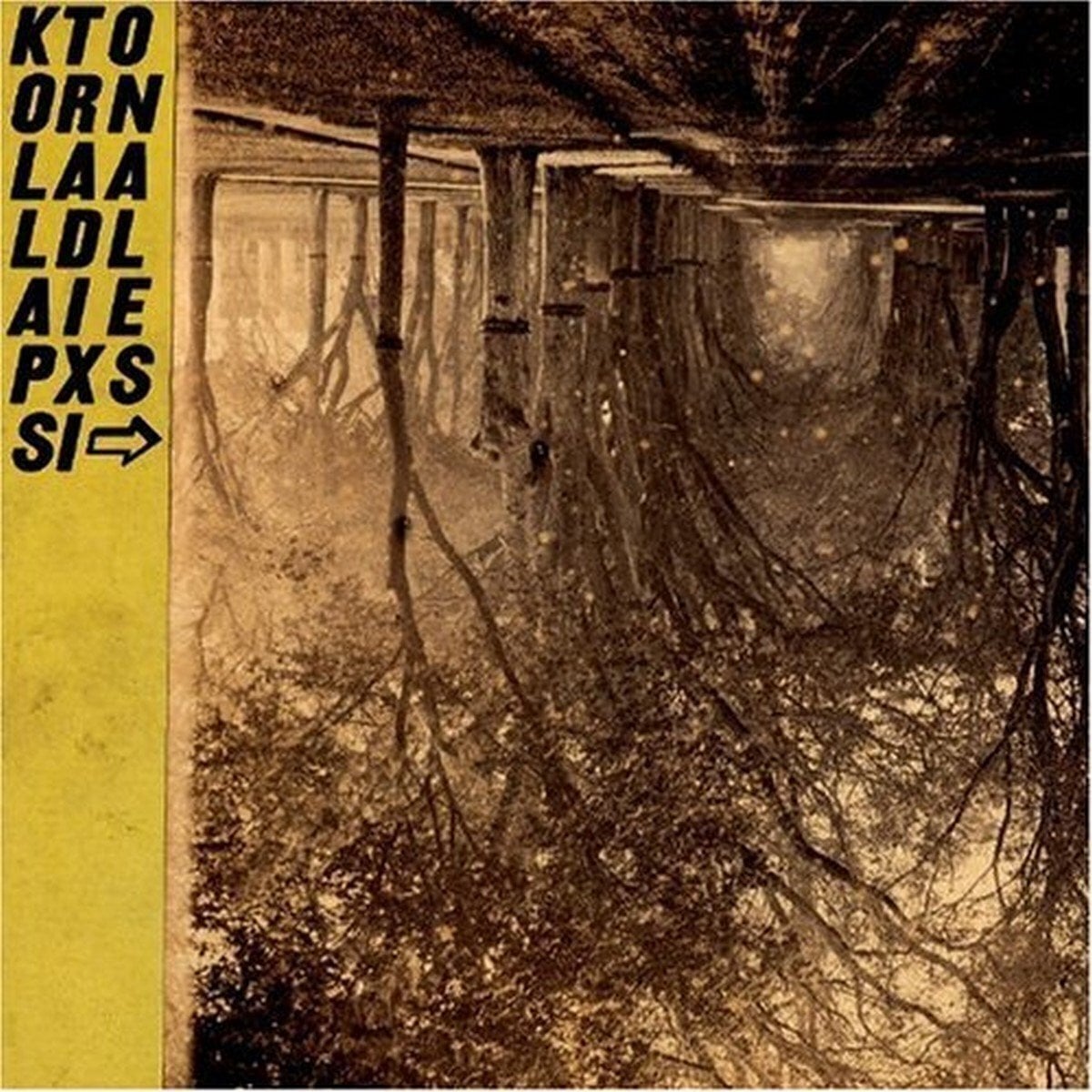 Schallplatte A Silver Mt. Zion - Kollaps Tradixionales (Gatefold Sleeve) (2 x 10" + CD)