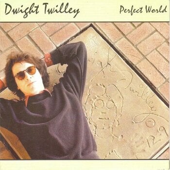 Vinyl Record Dwight Twilley - Perfect World (LP) - 1