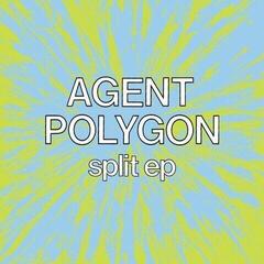 Disco de vinil Nick Rapaccioli & Agent Cooper - Split Project (LP)