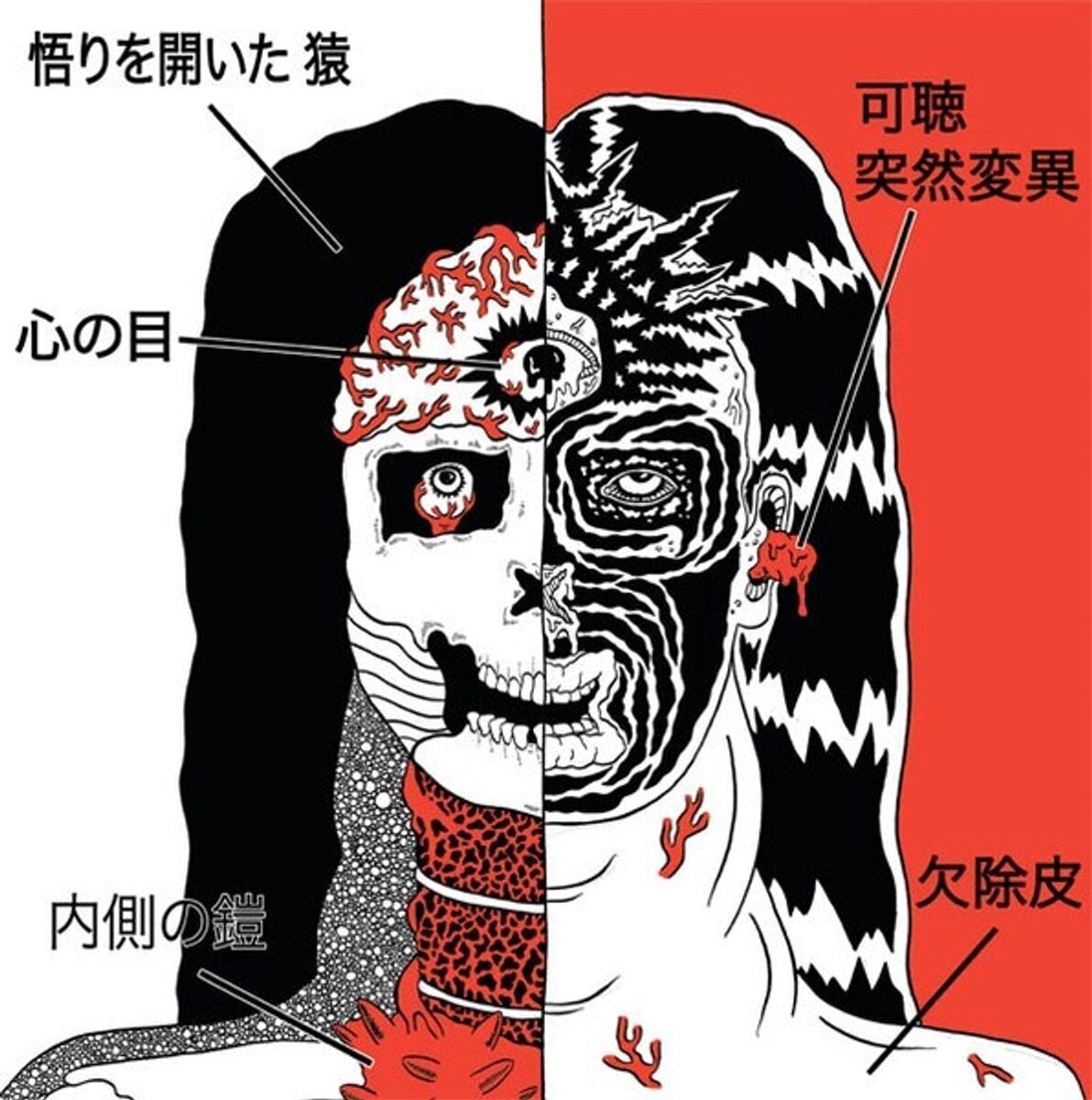 Vinyl Record Farflung - Split (LP)