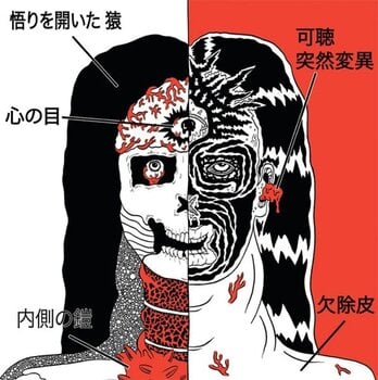 Vinyl Record Farflung - Split (LP) - 1