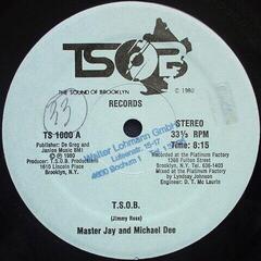 Schallplatte Master Jay & Michael Dee - T.S.O.B. (LP)