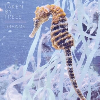 Disco de vinil Taken By Trees - Dreams (LP) - 1