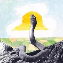 Schallplatte Woods - Cali In A Cup (LP)