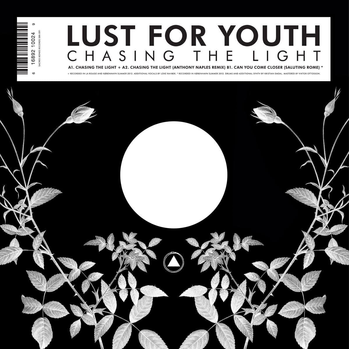 Schallplatte Lust For Youth - Chasing The Light (LP)