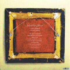 LP Iron and Wine - Ghost On Ghost (LP + CD)