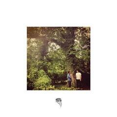 Schallplatte The Numerators - Dead (LP)