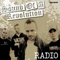 Hanglemez Sound Of A Revolution - Radio (LP)