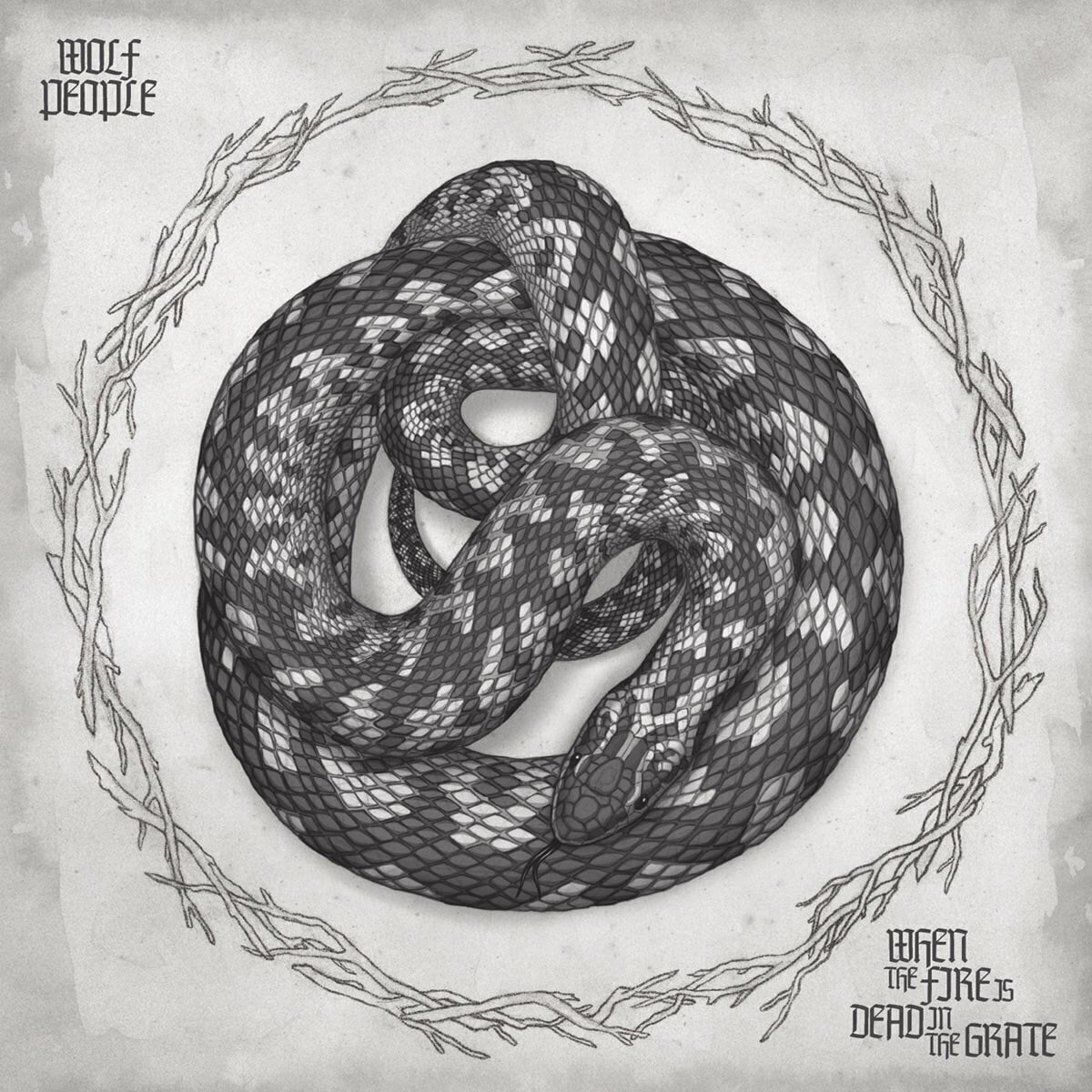 Schallplatte Wolf People - When The Fire Is Dead In The Grate (EP)