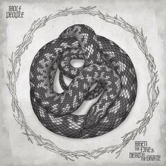 Schallplatte Wolf People - When The Fire Is Dead In The Grate (EP)