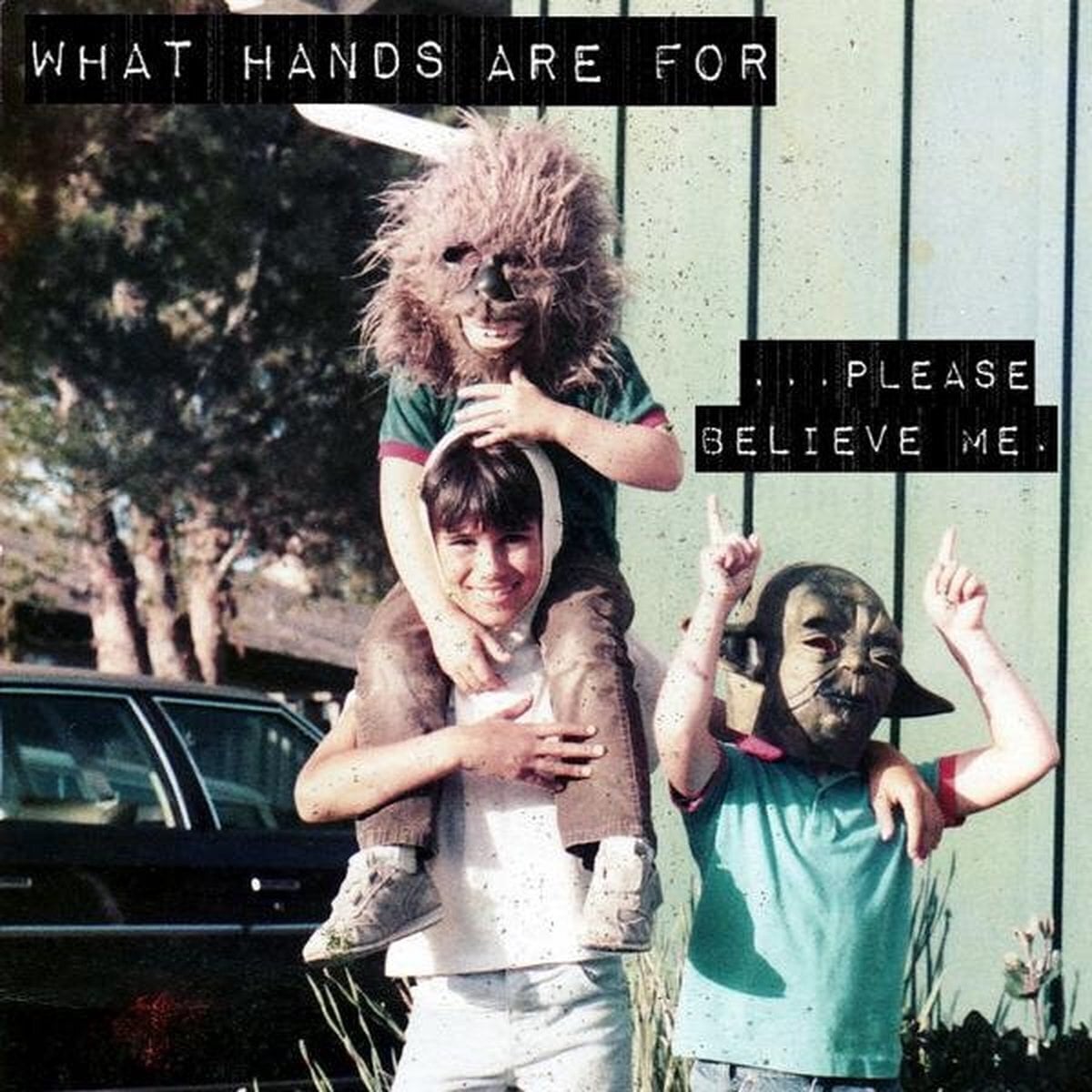 Vinyl Record What Hands Are For - ...Please Believe Me (LP)