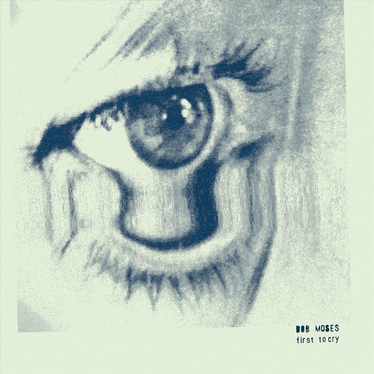 Schallplatte Bob Moses - First To Cry (Limited Edition) (LP)