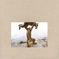 Schallplatte Shellac - Dude Incredible (180 g) (LP + CD)