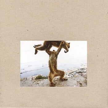 Schallplatte Shellac - Dude Incredible (180 g) (LP + CD) - 1