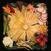 Schallplatte Acid Baby Jesus - Vegetable (Limited Edition) (EP)