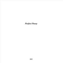 Schallplatte Perfect Pussy - I Have Lost All Desire For Feeling (EP)