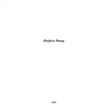 Schallplatte Perfect Pussy - I Have Lost All Desire For Feeling (EP) - 1