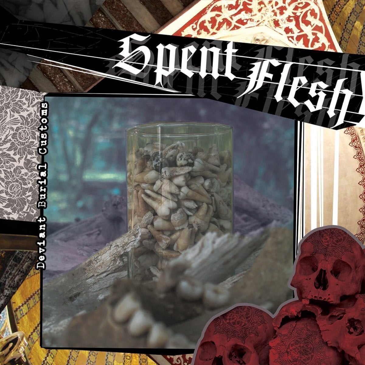 Schallplatte Spent Flesh - Deviant Burial Customs (LP)