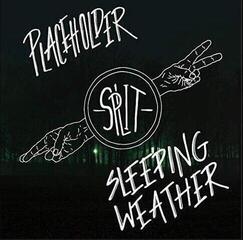 Vinyl Record Placeholder & Sleeping Weather - Split (LP)