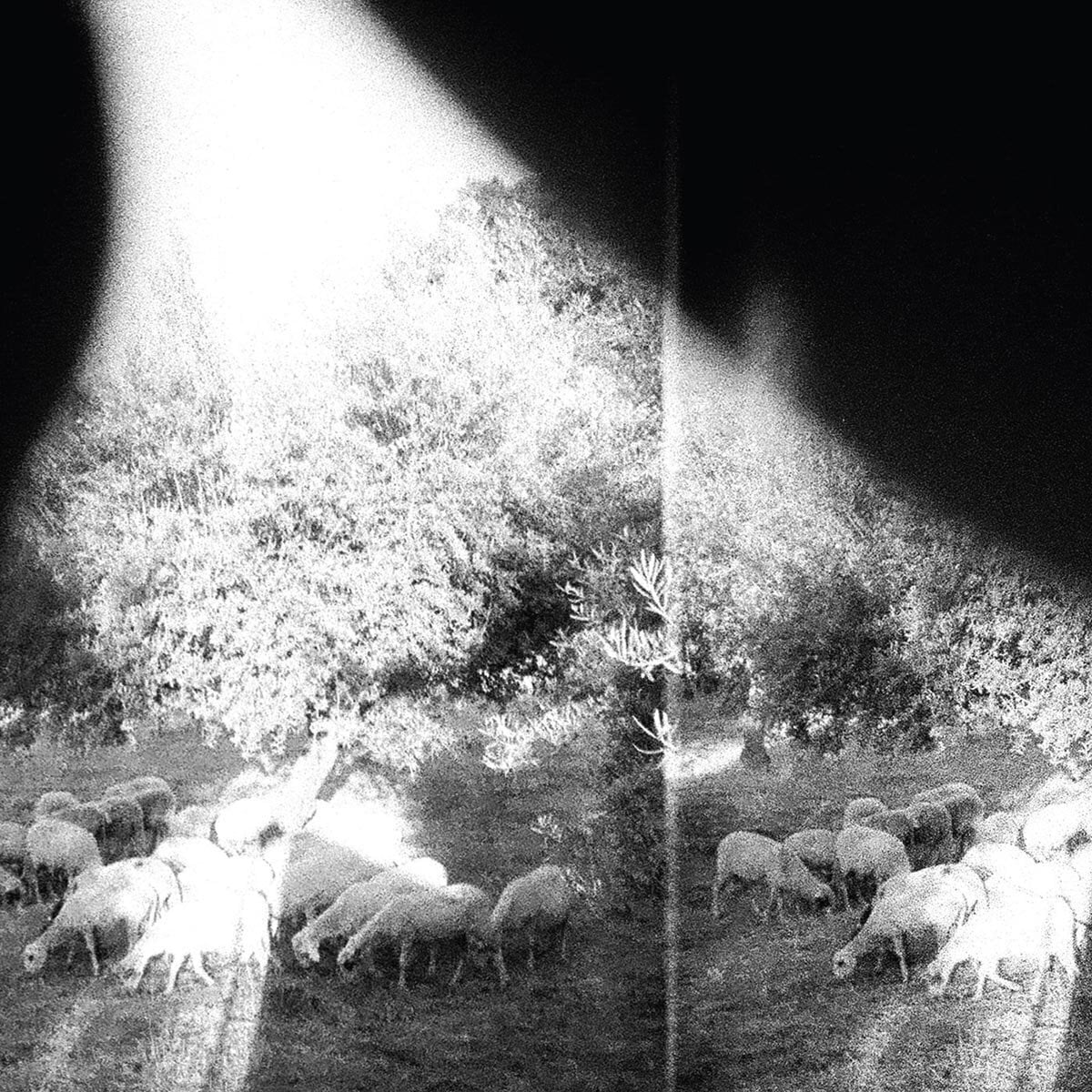 Schallplatte Godspeed You! Black Emperor - Asunder, Sweet And Other Distress (180 g) (LP)