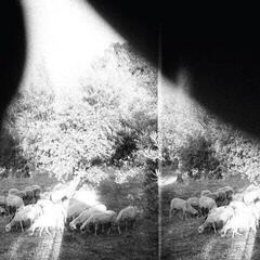 Schallplatte Godspeed You! Black Emperor - Asunder, Sweet And Other Distress (180 g) (LP)