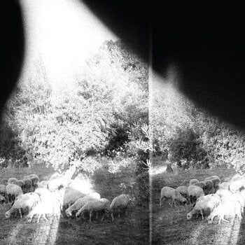 Schallplatte Godspeed You! Black Emperor - Asunder, Sweet And Other Distress (180 g) (LP) - 1