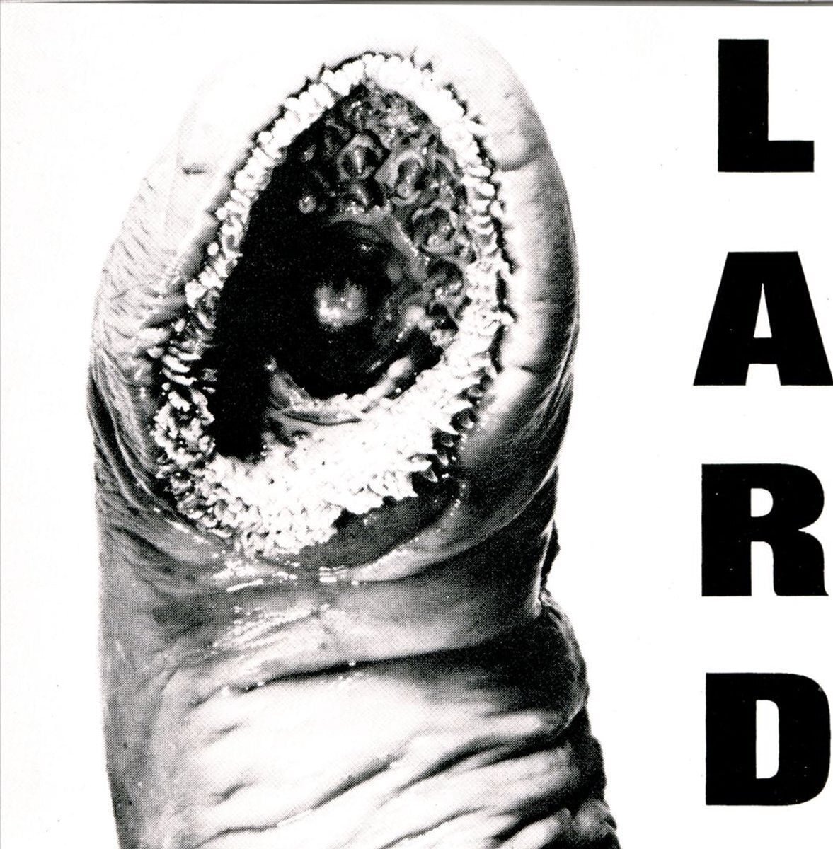 Schallplatte Lard - Power Of Lard EP (Reissue) (EP)