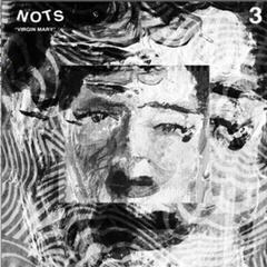 Vinyl Record Nots - Virgin Mary (LP)