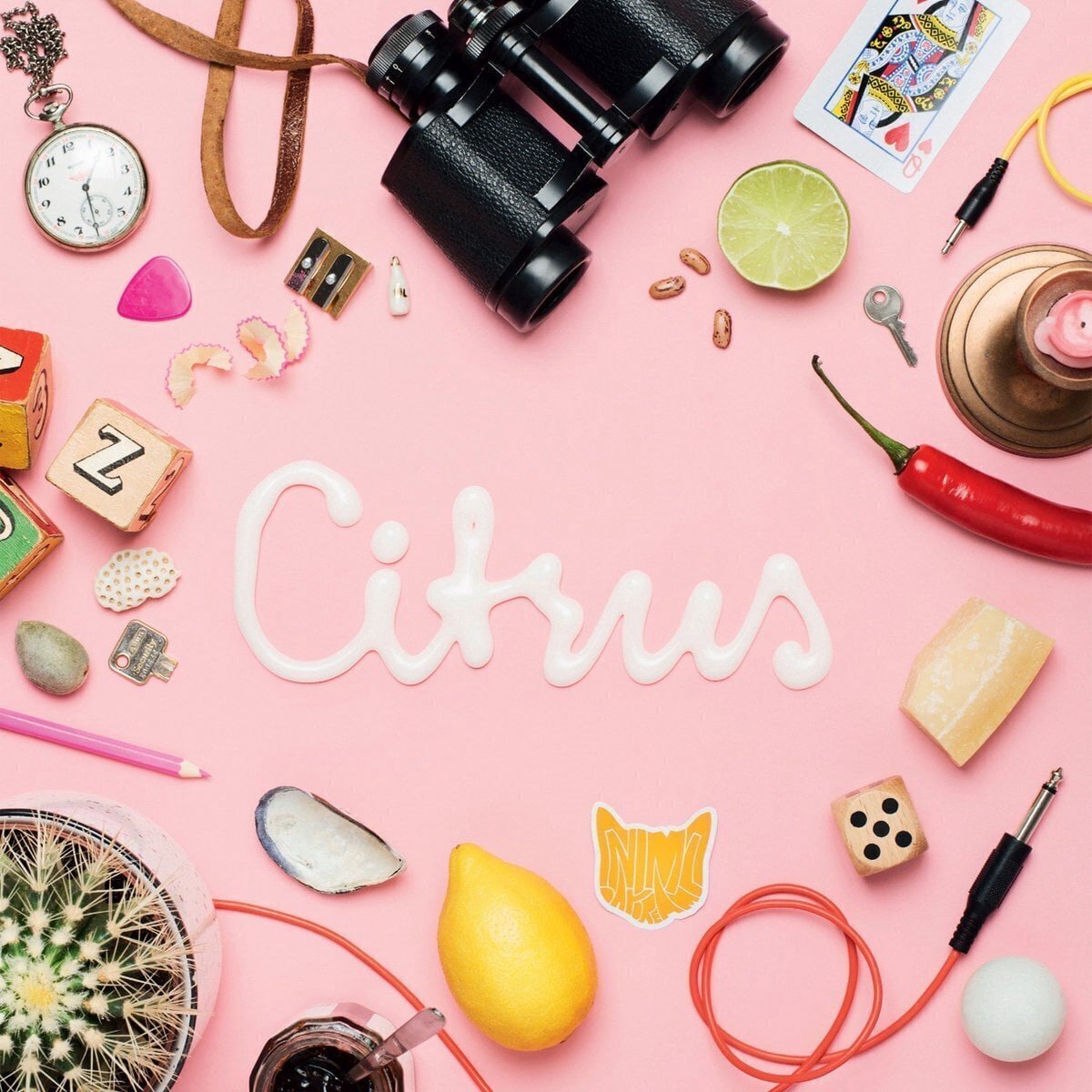 Disco de vinil Animal Daydream - Citrus (LP)