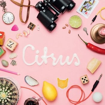 Disco de vinil Animal Daydream - Citrus (LP) - 1