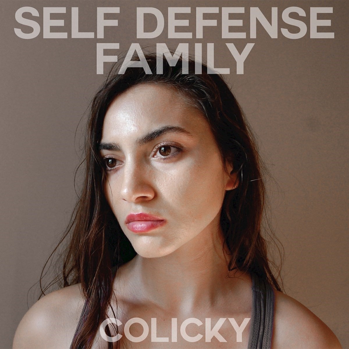 Vinylplade Self Defense Family - Colicky (LP)