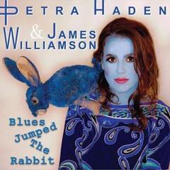 Disco de vinil James Williamson & Petra Haden - Blues Jumped The Rabbit (7")