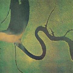 Schallplatte Dead Can Dance - The Serpent's Egg (Reissue) (LP)