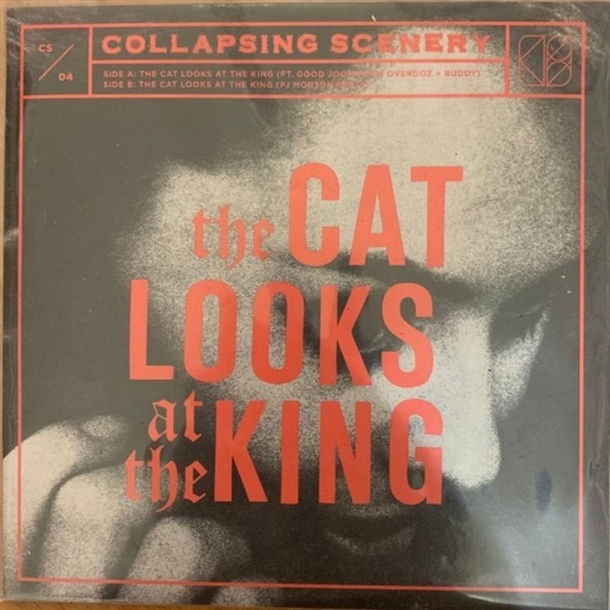 Vinyl Record Collapsing Scenery - The Cat Looks At The King (LP)