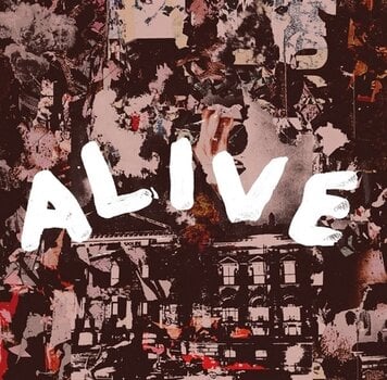 Vinyl Record Warbly Jets - Alive (7") - 1