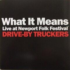 Vinyl Record Drive-By Truckers - What It Means / The Perilous Nigh (LP)