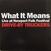 Schallplatte Drive-By Truckers - What It Means / The Perilous Nigh (LP)